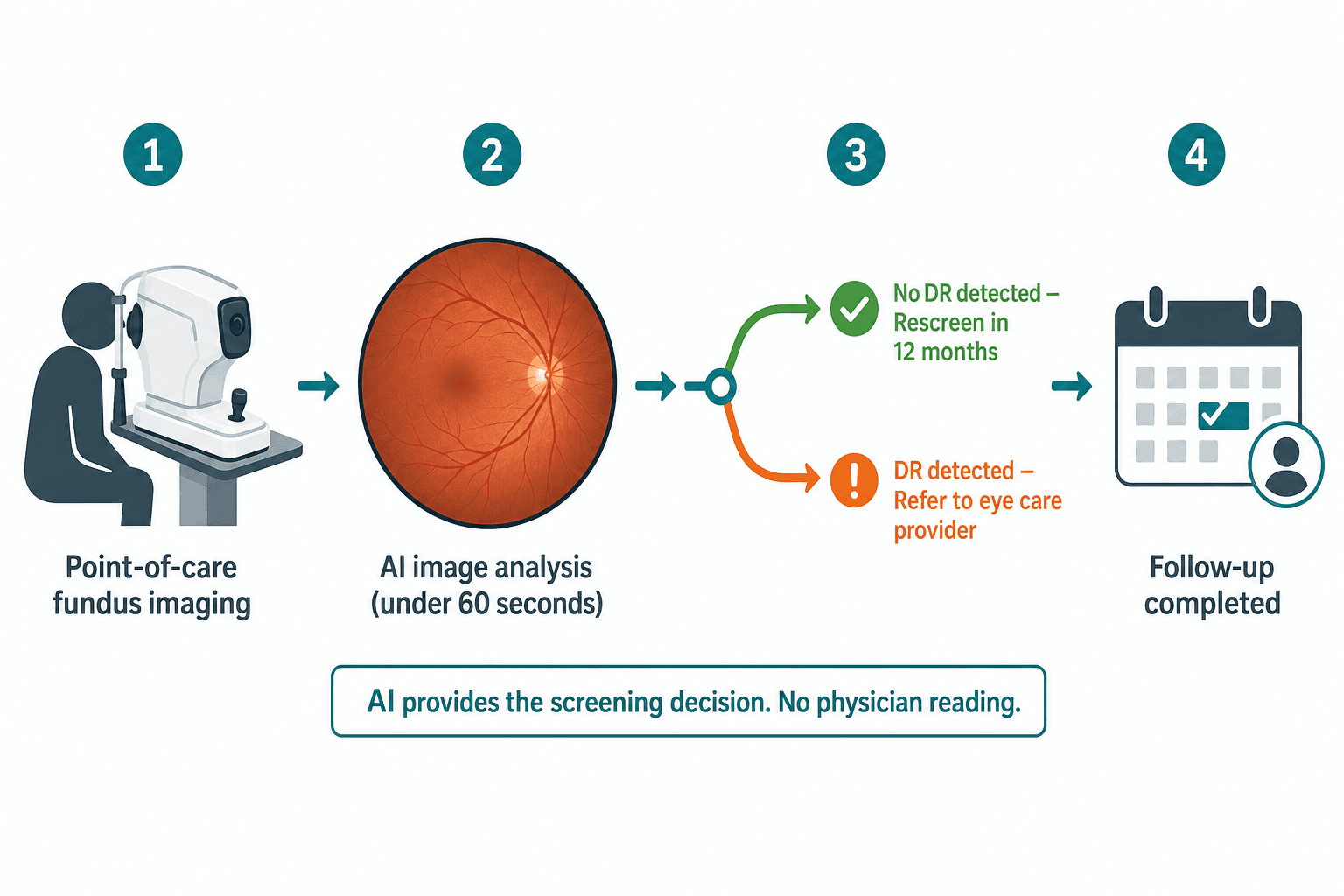 Four-step workflow diagram showing point-of-care fundus imaging, AI analysis under 60 seconds, binary branching to no-DR rescreen or DR-detected referral, and follow-up appointment.